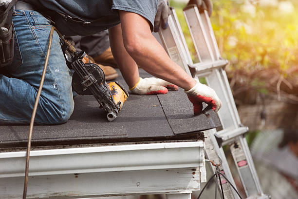 Best Roof Gutter Cleaning  in La Puebla, NM