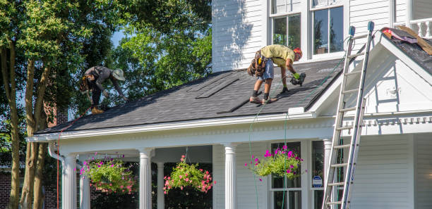 Best Roof Leak Repair  in La Puebla, NM